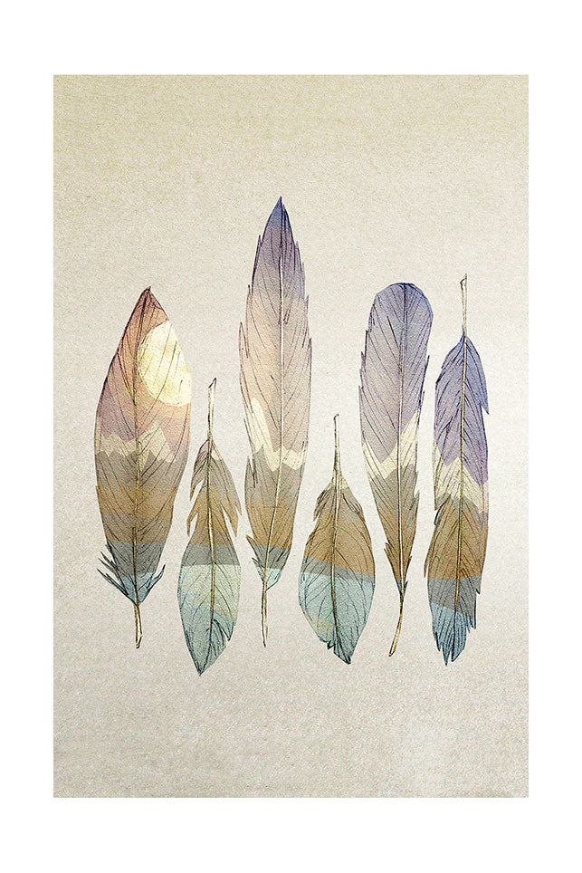 MOUNTAIN BIRDS