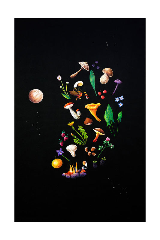 Colorful illustration of edible wild mushrooms and plants, a foraging character, and a planet and stars, against a black background