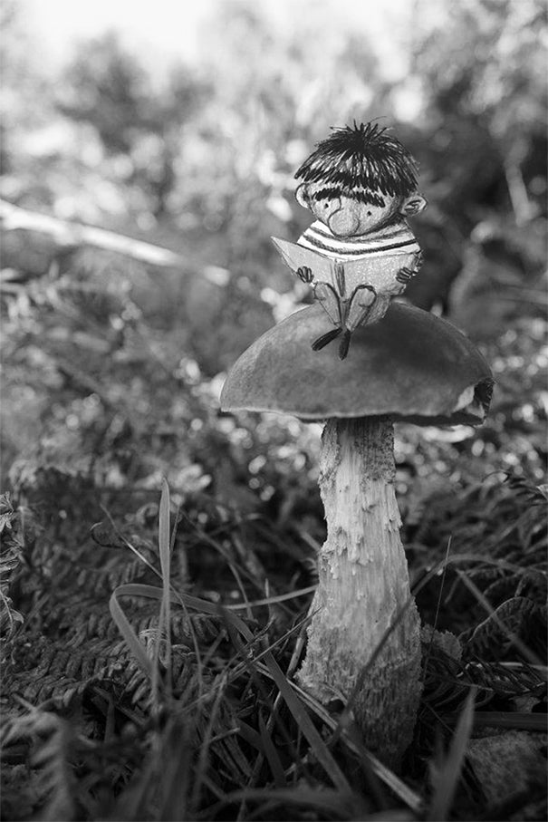 SITTING ON A BIRCH BOLETE