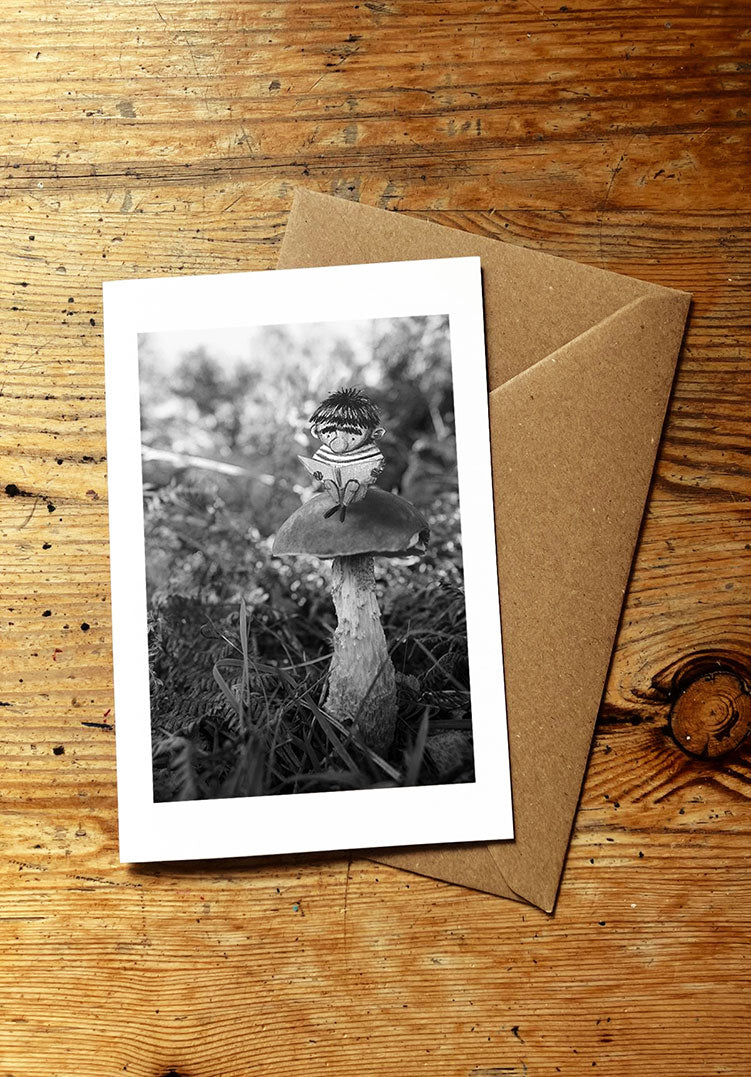 SITTING ON A BIRCH BOLETE