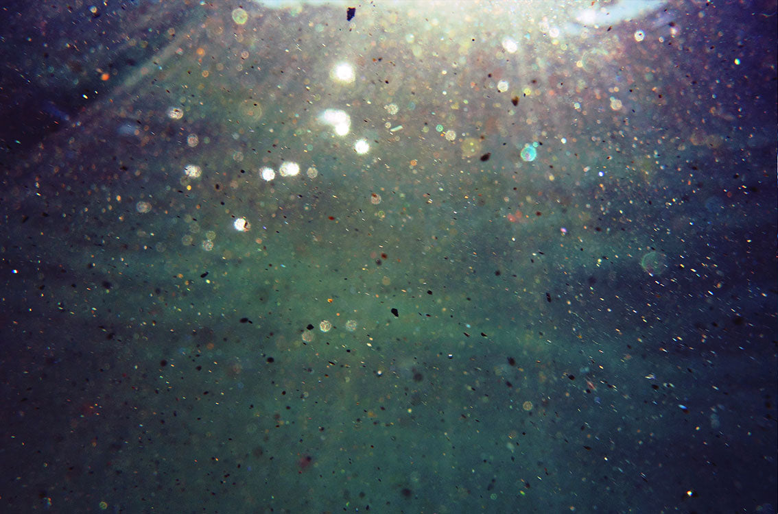 underwater-photo-surf-art-maia-walczak-gold-dust