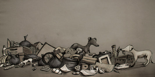 childrens-book-illustration-stray-dogs-maia-walczak-cornwall